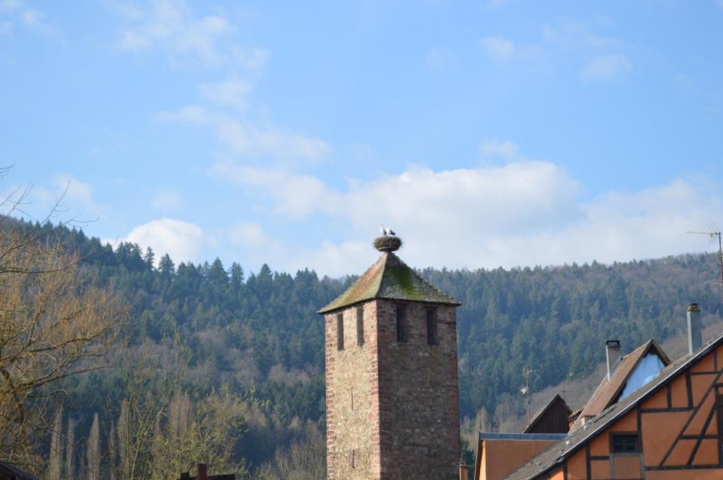 Апартаменты Coeur D'Alsace Кайзерсберг Экстерьер фото